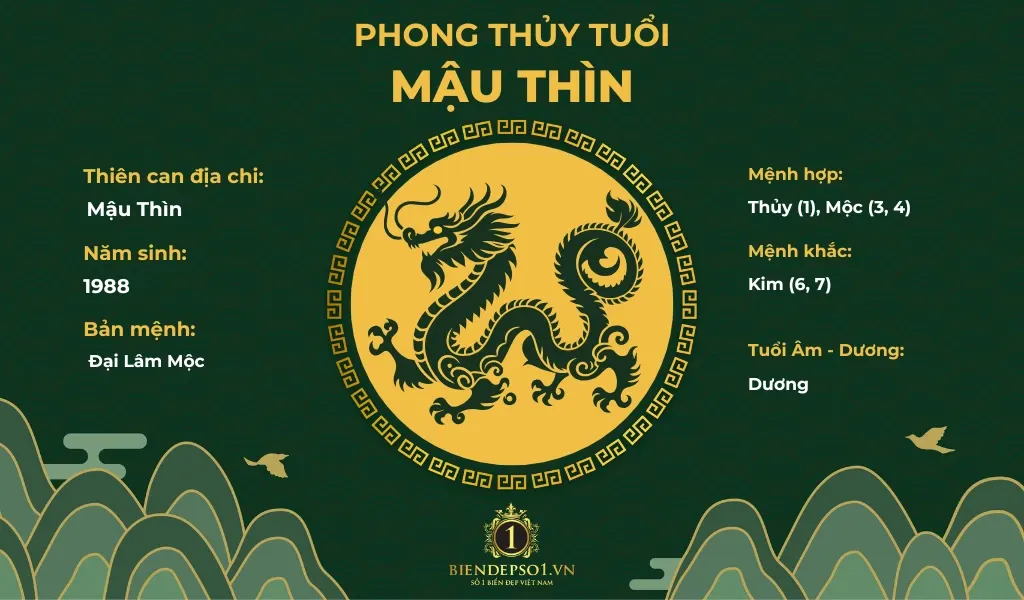 Phong thủy của người tuổi Mậu Thìn 1988 và dự báo năm 2025