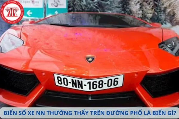 Hình ảnh minh họa về biển số xe NN dành cho người nước ngoài tại Việt Nam