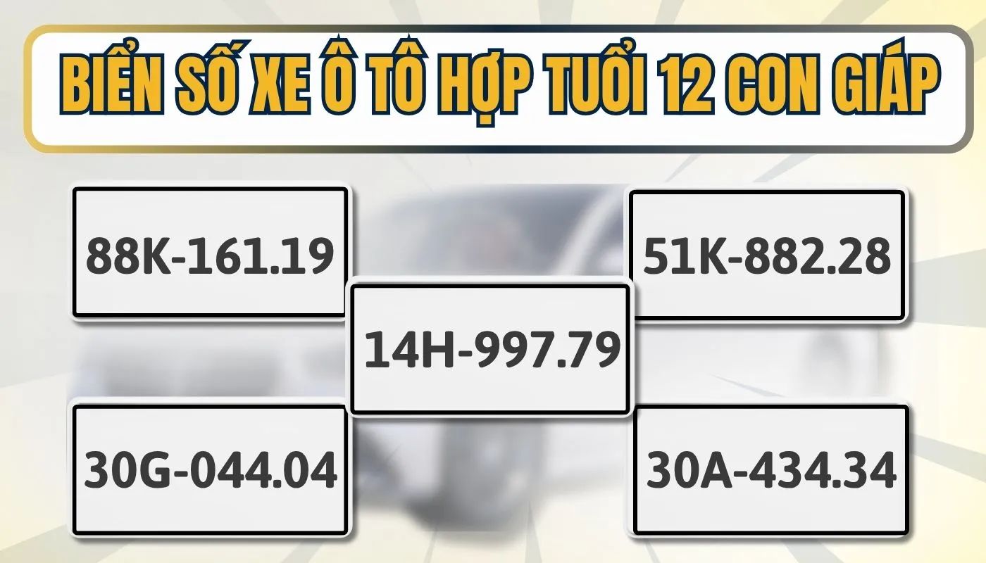 Biển số xe ô tô đẹp hợp tuổi theo 12 con giáp