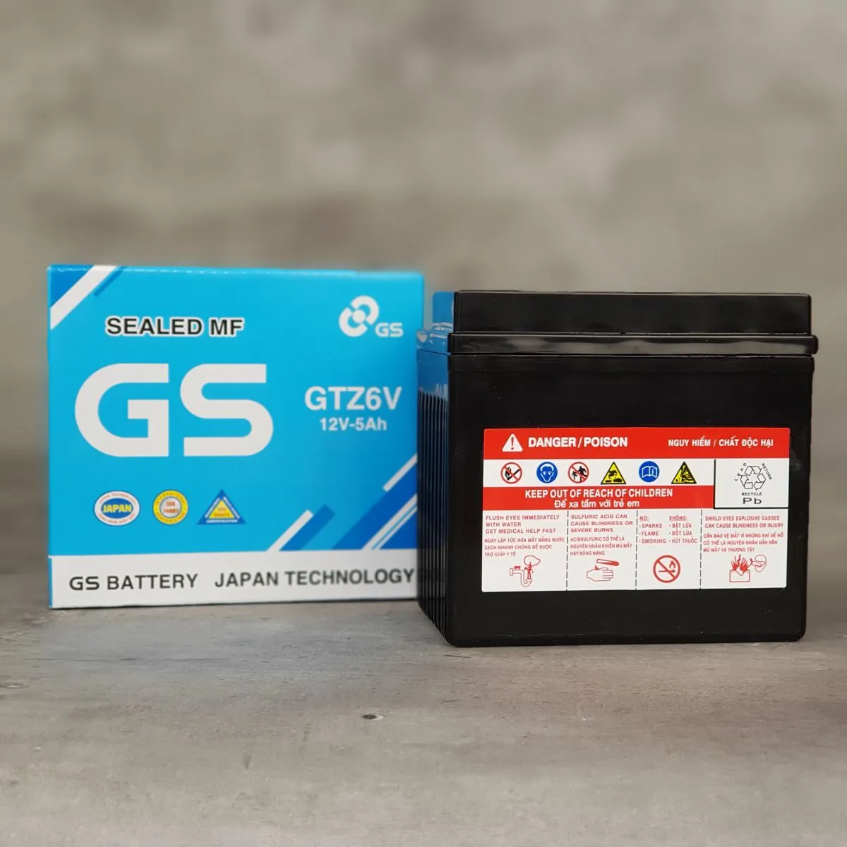 binh-Ac-quy-xe-Vision-chinh-hang-GS-12V-5AH-2