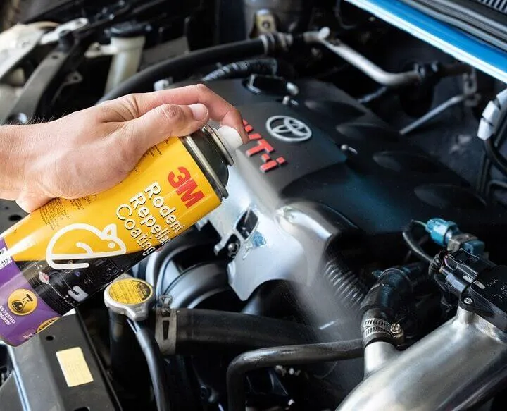 Bình xịt đuổi chuột ô tô