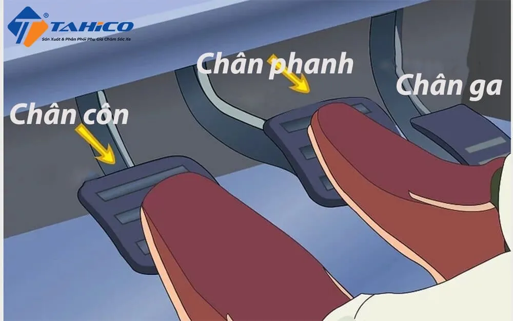 Bước 1: Dừng xe đúng vạch và chuẩn bị khởi hành