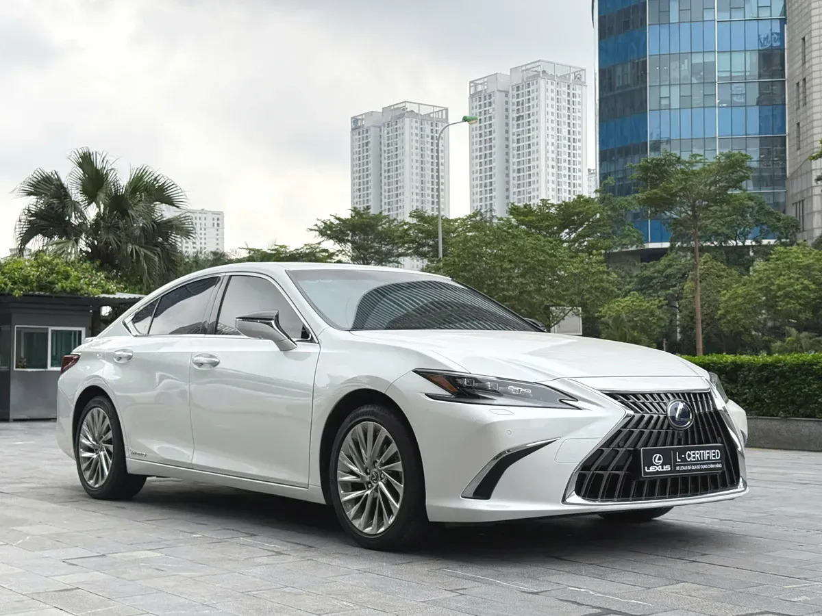 Nên Mua Ô Tô Cũ Ở Đâu Uy Tín Và Bí Quyết Kiểm Định Chất Lượng Xe