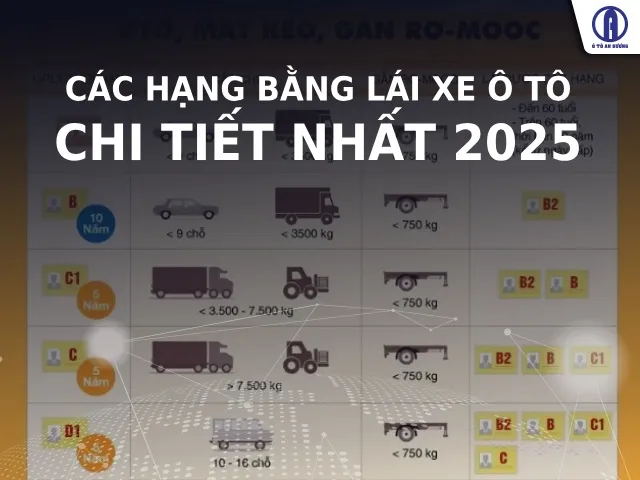 Các Loại Bằng Xe Ô Tô Mới Nhất 2026: Quy Định Và Điều Kiện