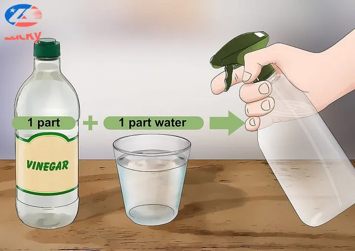 Sử dụng giấm/rượu trắng pha nước phun trực tiếp lên khu vực có kiến