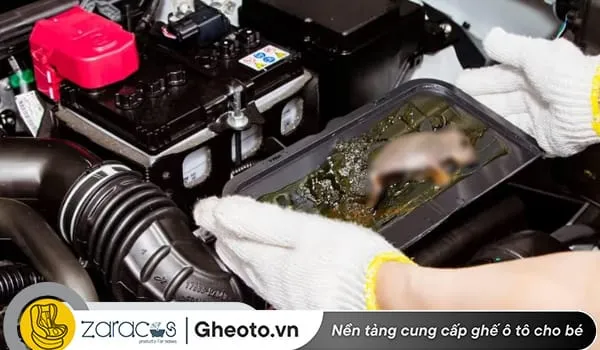 cach-khu-mui-chuot-tren-xe-oto