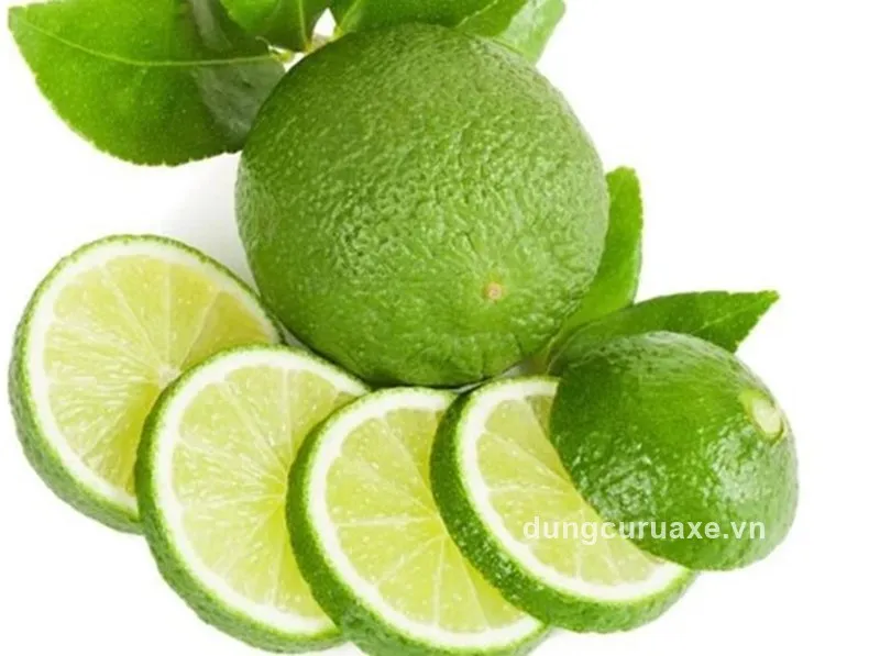 Sử dụng lát chanh tươi và lá bạc hà trong cốc để trung hòa và khử mùi hôi tanh khó chịu trong không gian xe ô tô