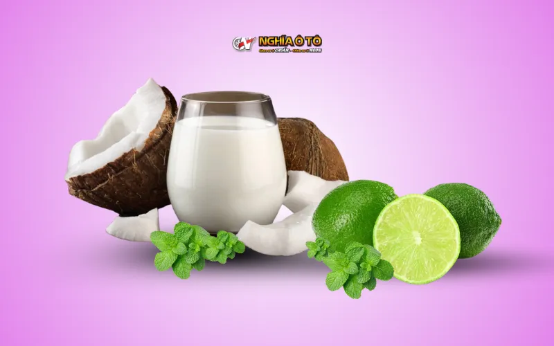 Các nguyên liệu tự nhiên có thể dùng làm cách khử mùi nhựa trong xe ô tô mới như lá bạc hà, nước cốt dừa, rau mùi và chanh