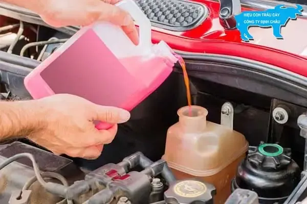 Hình ảnh các loại nước làm mát phổ biến màu xanh, đỏ, vàng trên thị trường