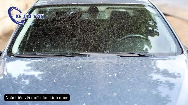 Xuất hiện vệt nước làm kính nhòe không thể làm sạch