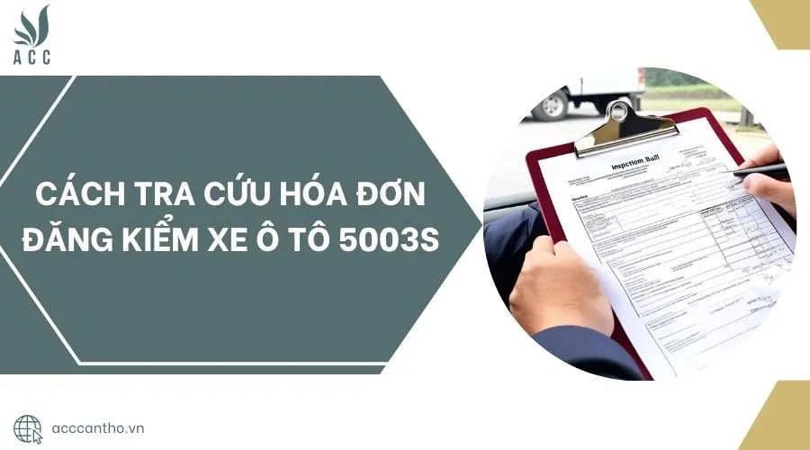 Giao diện tra cứu hóa đơn điện tử đăng kiểm xe ô tô 5003S, hướng dẫn tra cứu hóa đơn đăng kiểm xe ô tô