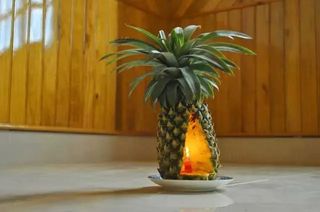 Cách Xử Lý Mùi Hôi Trên Xe Ô Tô Bằng Trái Dứa (trái Thơm) Khử Mùi