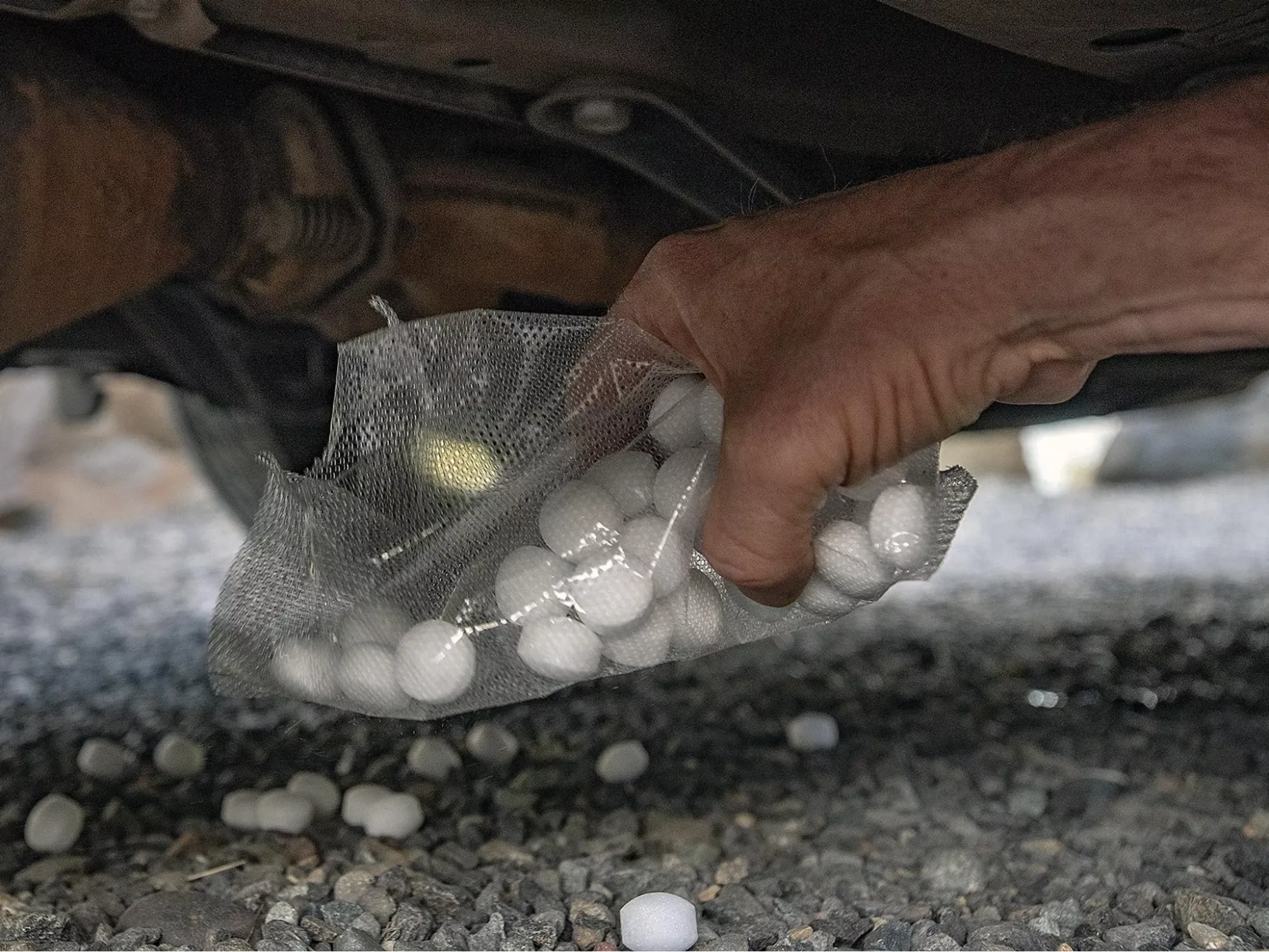 Bỏ băng phiến dưới gầm xe ô tô để đuổi chuột