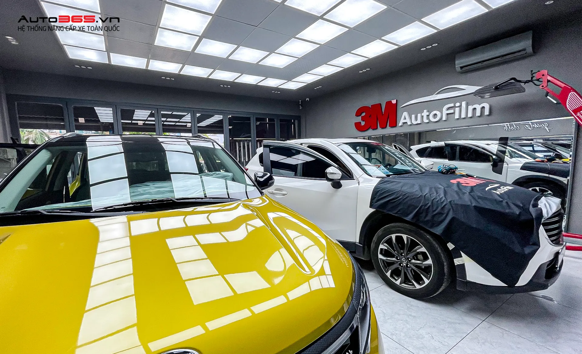 Auto365 là đại lý phân phối chính hãng phim cách nhiệt 3M, cam kết chất lượng sản phẩm và dịch vụ lắp đặt chuyên nghiệp