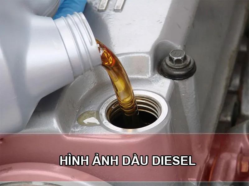 Các loại dầu diesel phổ biến cho xe tải tại Việt Nam
