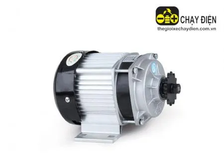 Động cơ xe 3 bánh điện linh kiện thay thế chính hãng