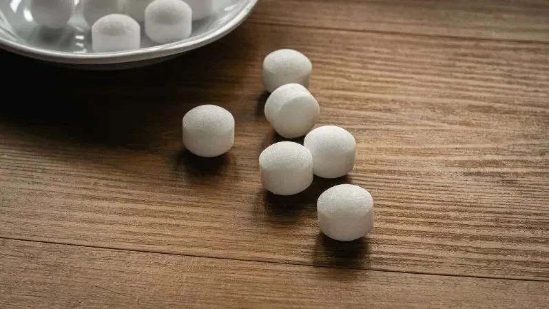 Băng phiến và long não giúp chống chuột cho xe ô tô