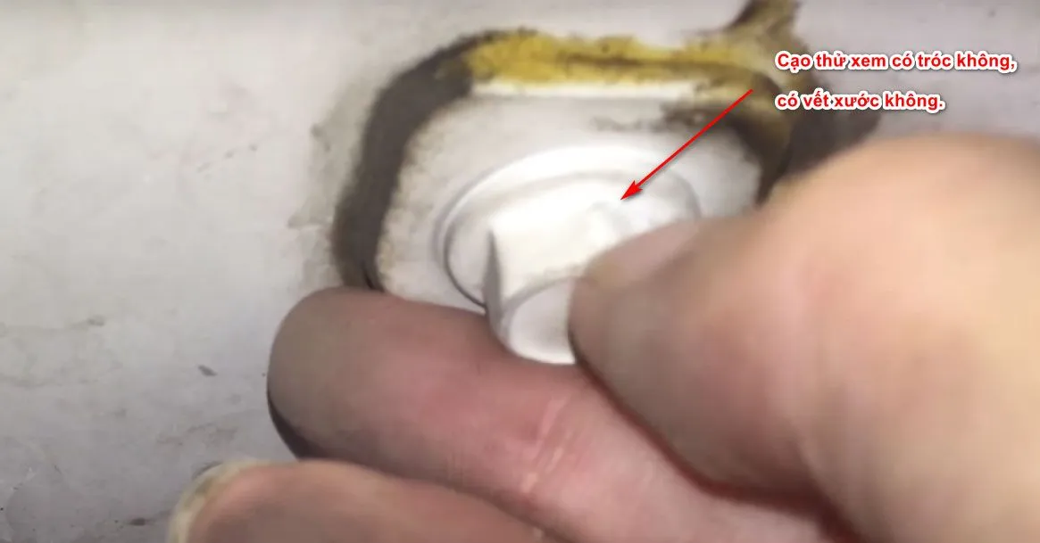 Dùng móng tay cạo thử để kiểm tra xem con ốc đã bị sơn lại chưa