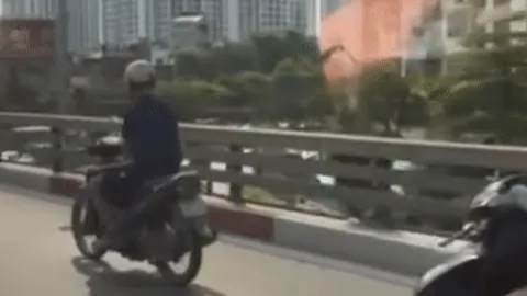 Danh sách xe ô tô bị phạt nguội do dùng điện thoại khi lái xe