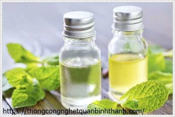 Sử dụng tinh dầu thiên nhiên như bạc hà để chống chuột xâm nhập