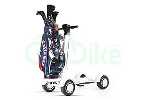 Xe điện Scooter Eswing ES-M12