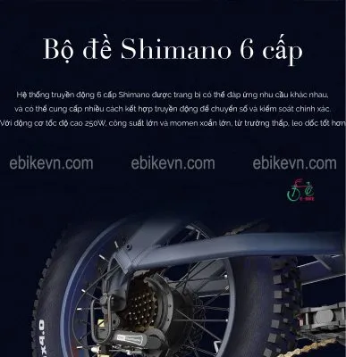 Bộ truyền động Shimano 6 cấp độ chất lượng cao từ Nhật Bản