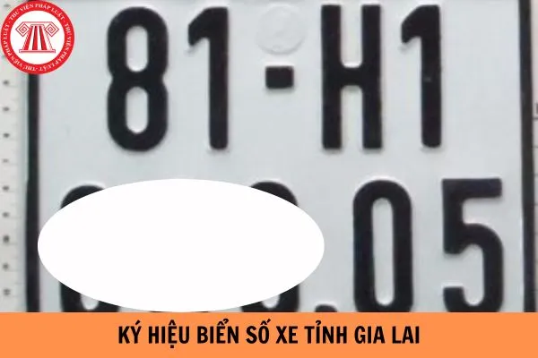 Ký hiệu biển số xe tỉnh Gia Lai 81 trên nền trắng chữ đen