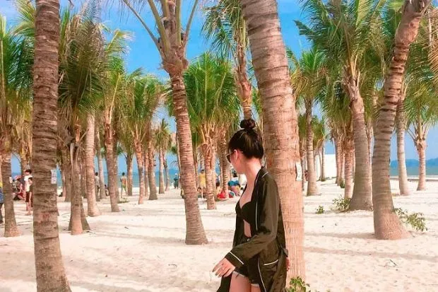 Học bằng lái xe ô tô: Các bước chuẩn bị hồ sơ đăng ký