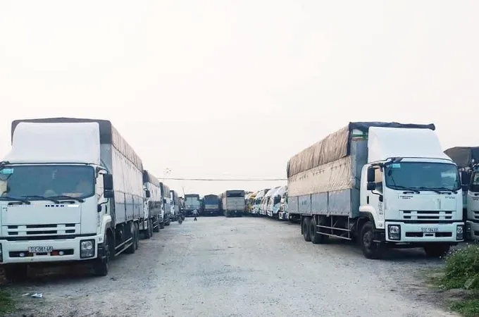 Đội xe tải đa dạng tải trọng sẵn sàng phục vụ nhu cầu vận chuyển Bắc Nam