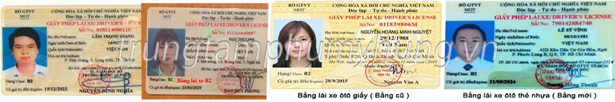 Mẫu bằng B2 - Học lái xe tại Trung Tâm Phú Mỹ Hưng