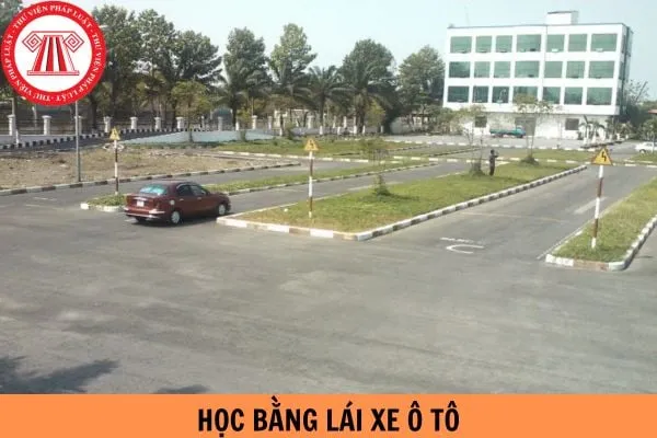 Quy Định Độ Tuổi Học Bằng Lái Xe Ô Tô Bao Nhiêu Tuổi Và Các Hạng Bằng Lái