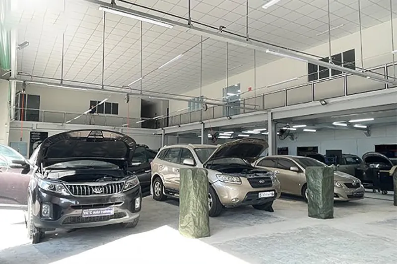 Thị trường ô tô Việt Nam đang phát triển mạnh mẽ và liên tục tăng trưởng