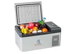 Tủ lạnh mini xe ô tô C15