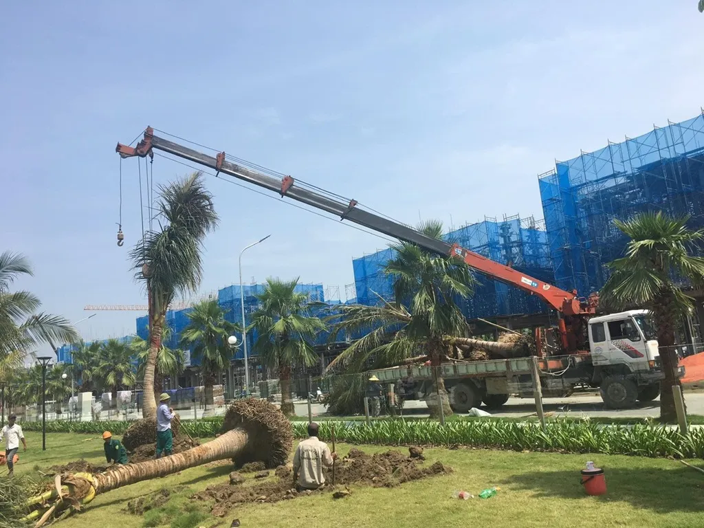 ishida cho thue cau tu hanh tai ha noi