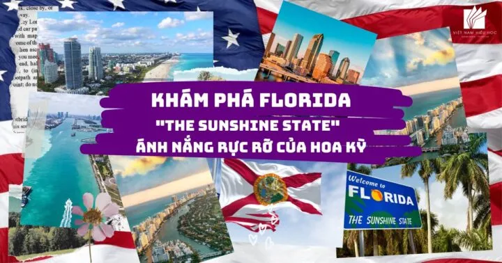 Kiểm tra tải trọng xe bán tải và hệ thống treo