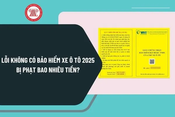 Kiểm tra giấy tờ xe để tuân thủ quy định allintitle:lỗi không có bảo hiểm ô tô