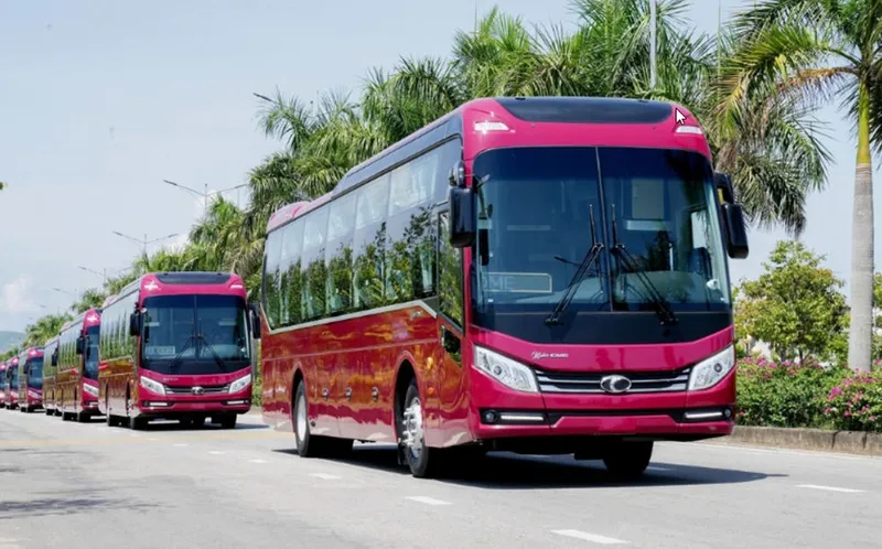 Bằng lái xe hạng D cho xe khách từ 30 chỗ ngồi trở lên