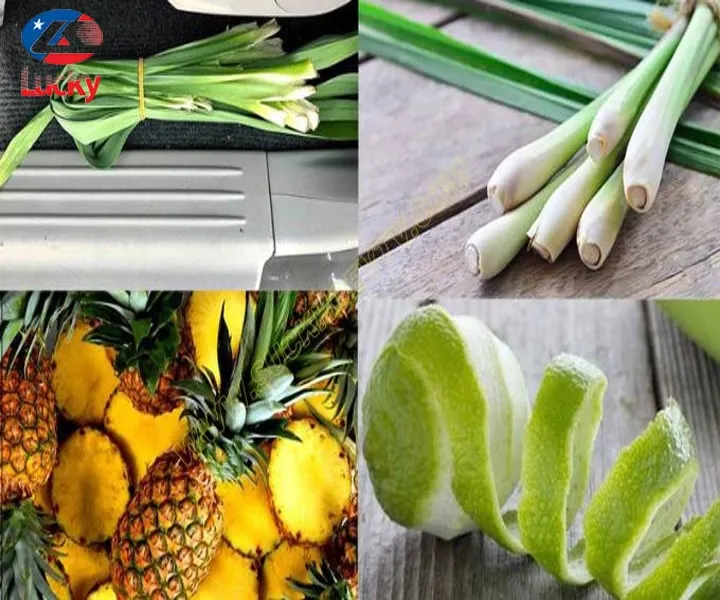 Các loại vỏ trái cây và lá cây tự nhiên được dùng làm nguyên liệu khử mùi ghế da ô tô