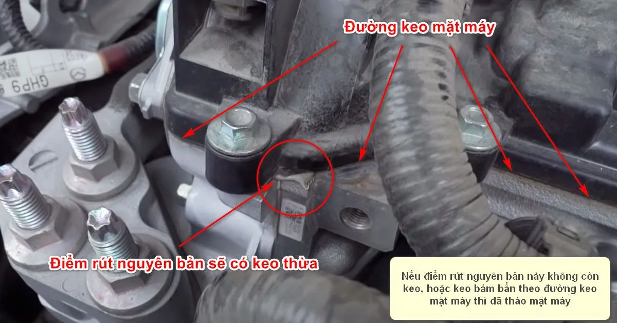 Phân biệt keo dán mặt máy nguyên bản và keo dán lại sau sửa chữa