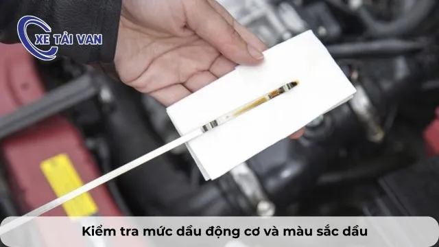 Rút que thăm dầu để kiểm tra mức dầu và đánh giá màu sắc, độ sạch của dầu động cơ