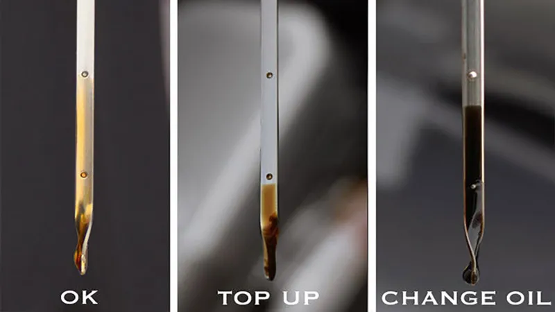 kiểm tra màu sắc của dầu nhớt