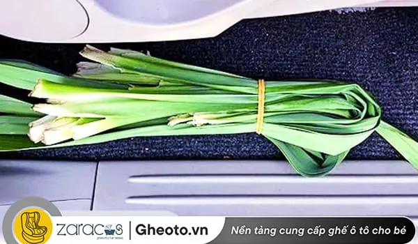 Sử dụng lá dứa để khử mùi da trên xe ô tô mới