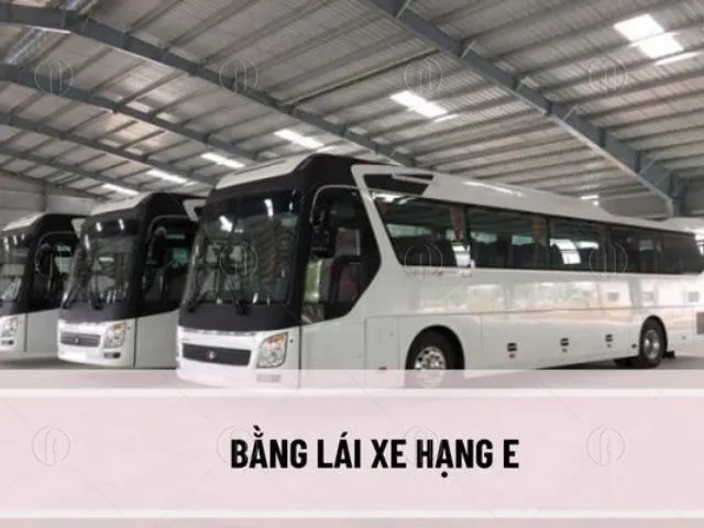 Lái xe khách 45 chỗ cần bằng hạng E