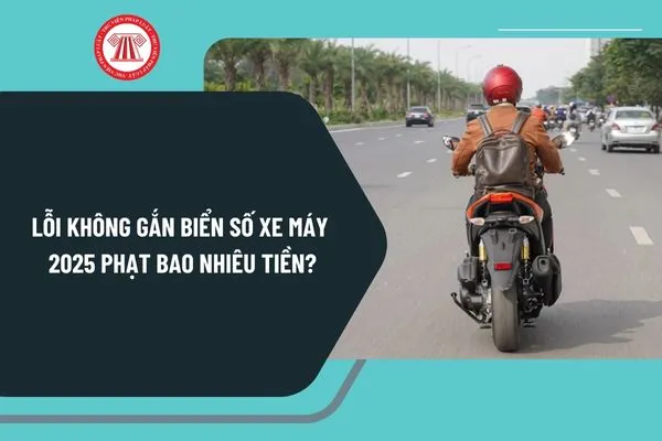 Xe không gắn biển số bị phạt từ 4 đến 6 triệu đồng và trừ 6 điểm giấy phép lái xe
