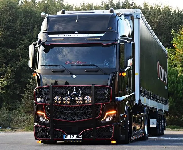 Mercedes Actros 1863