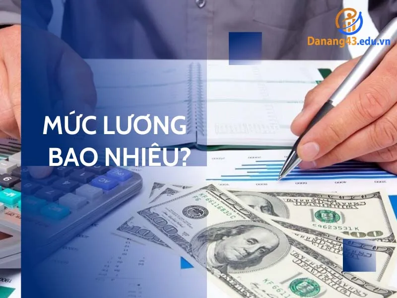 Minh họa mức lương được hưởng tại các vị trí việc làm ô tô ở Đà Nẵng