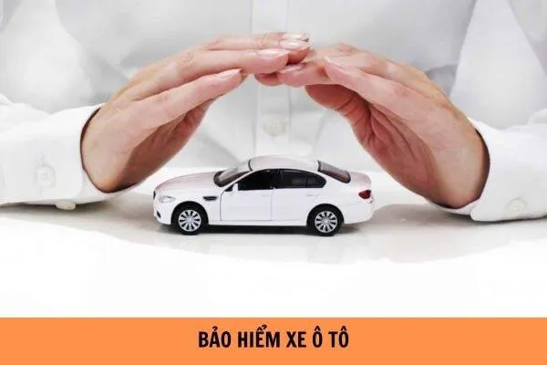 Mức Phạt Không Có Bảo Hiểm Ô Tô Theo Nghị Định 100/2019/NĐ-CP