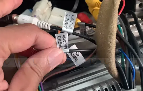 Nối dây tín hiệu từ đường Line Out của màn hình DVD xuống cổng In của loa sub