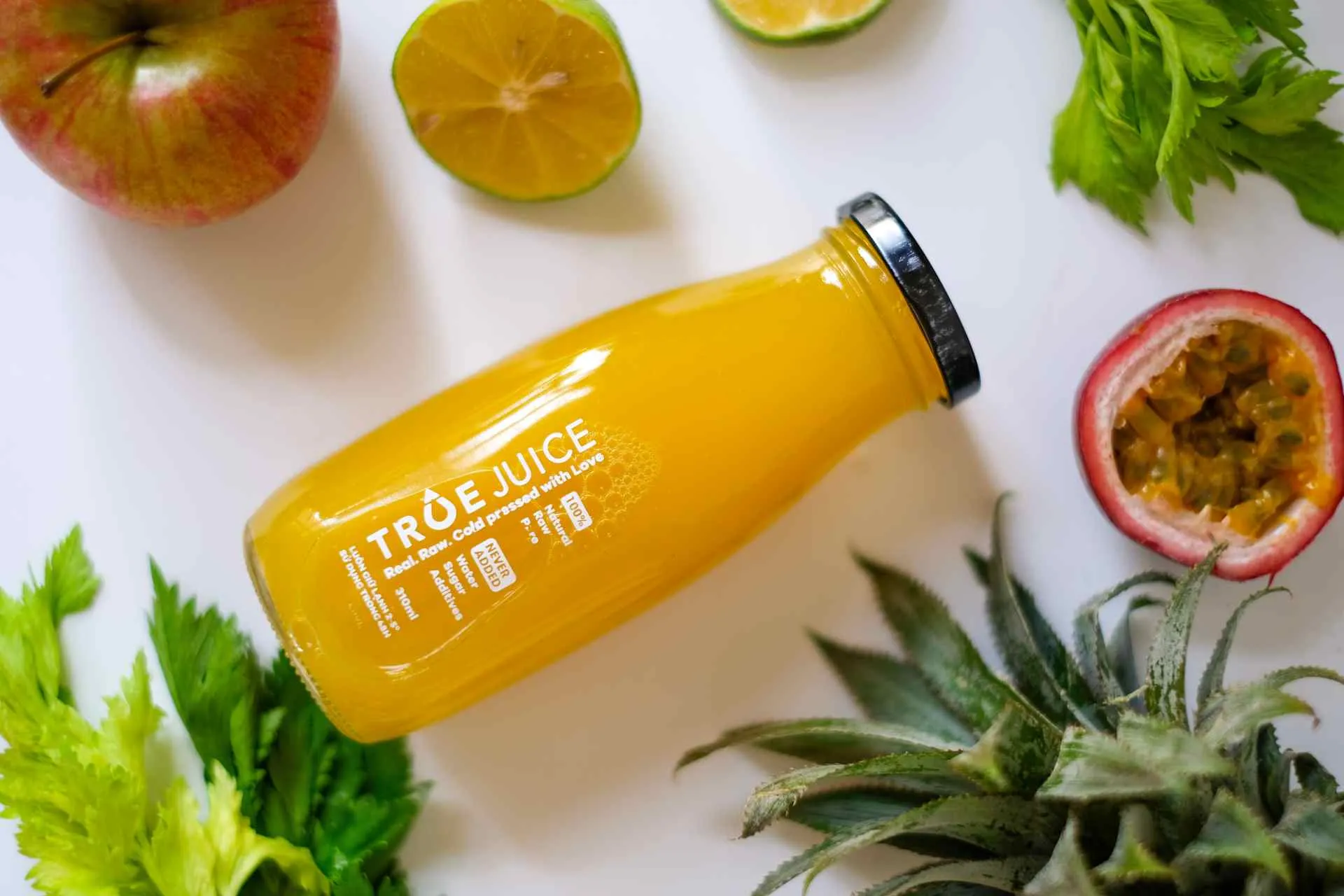 Áp dụng kỹ thuật và vật lý vào mô hình