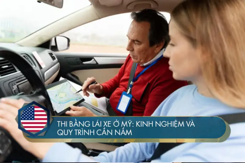 Quy định Chiều Cao Học Lái Xe Ô Tô Mới Nhất: Hướng Dẫn Chi Tiết